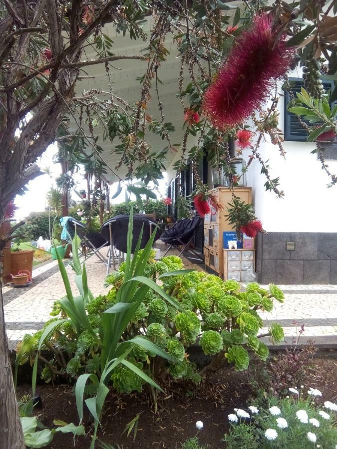 La De Ker Briac Couette-café Funchal (Madeira)