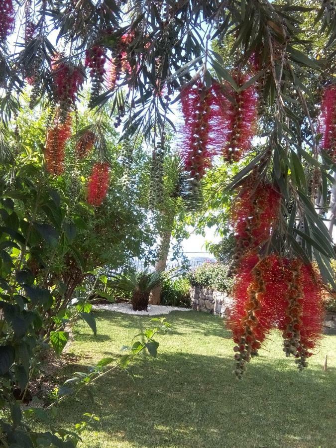 Bed and breakfast La De Ker Briac Funchal (Madeira)